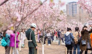 北京玉渊潭公园门票多少