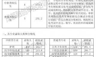 湖南专科学校排名及分数线